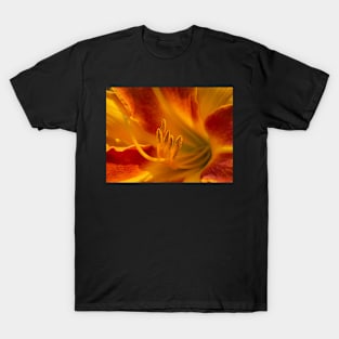 Orange Amaryllis Lily T-Shirt